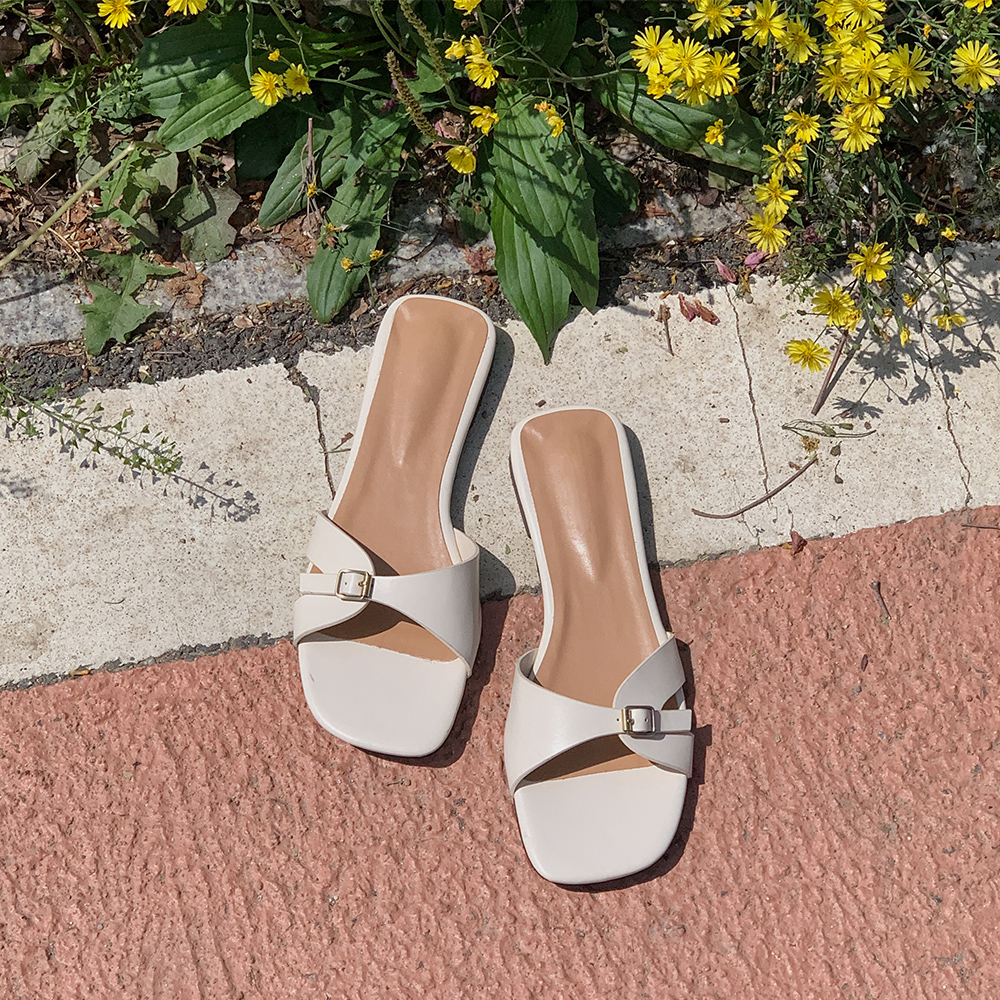 벨트 포인트 뮬